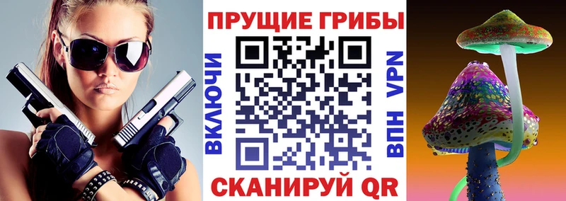 Псилоцибиновые грибы GOLDEN TEACHER  Тверь 